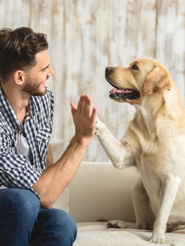 Ein Mann und ein Hund geben sich ein "High Five"